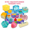 Malt Sugar Squishy Fidget Toy Set